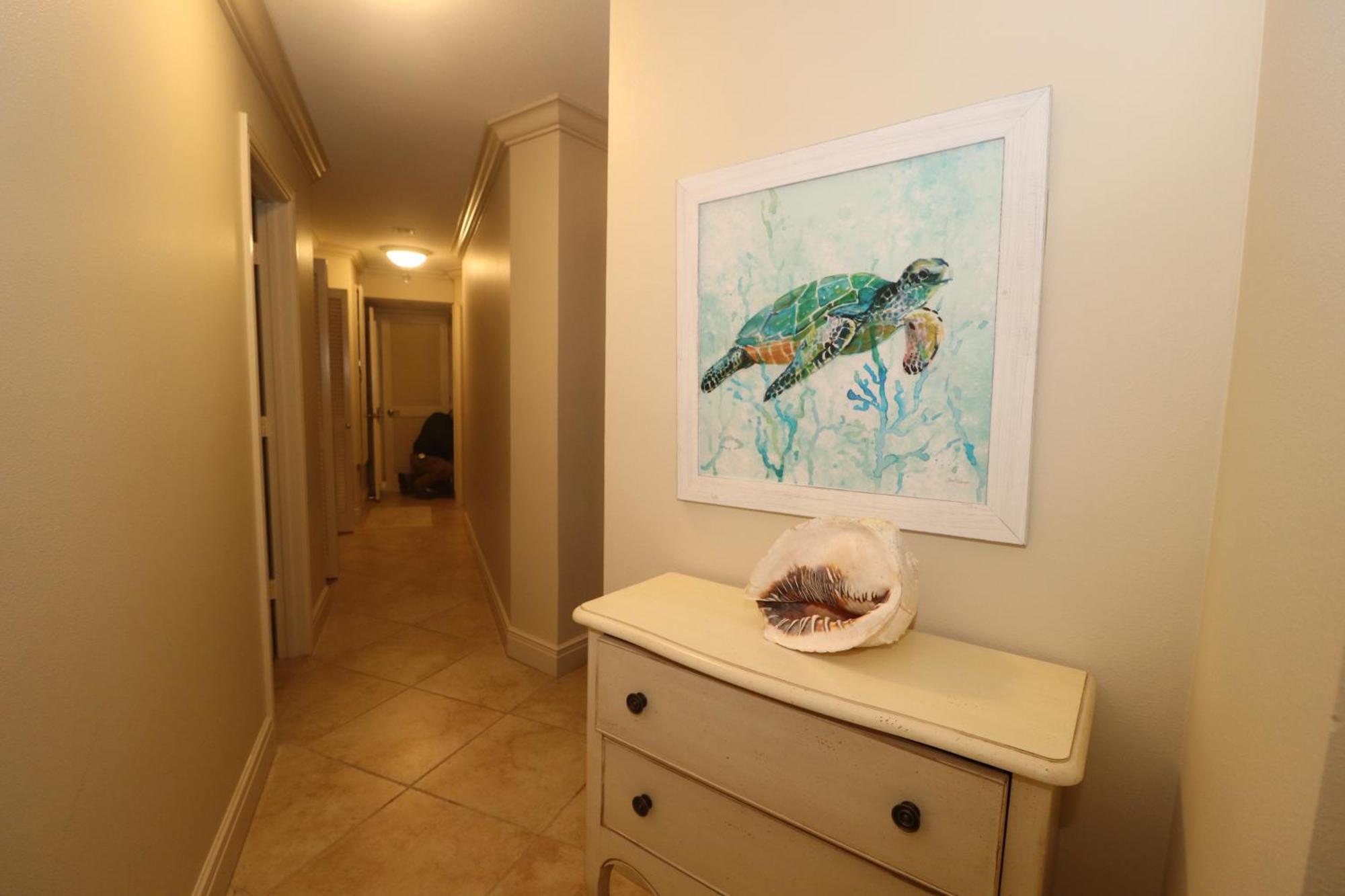 Bridgepoint Condominiums サウス・パドリー・アイランド エクステリア 写真